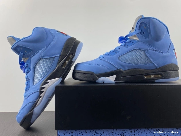 UNC Air 5 DV1310-401 Jordan 0818
